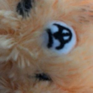 Meet your Posher, Jena